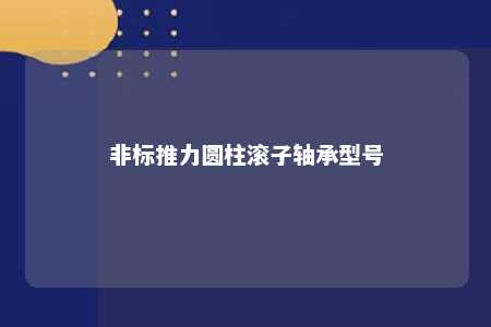非标推力圆柱滚子轴承型号 